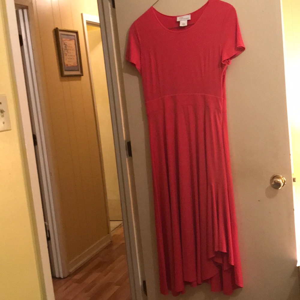 Dress worn ONCE!